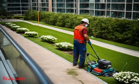 Mexican Lawnmower: Truth Behind a Controversial。